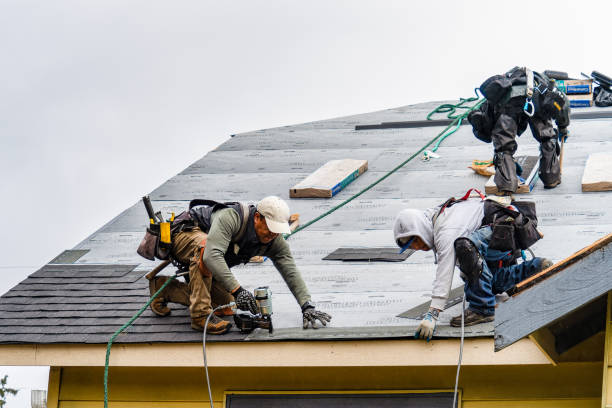 Professional Gutter Installation technician working in Clearwater, MN